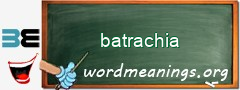 WordMeaning blackboard for batrachia